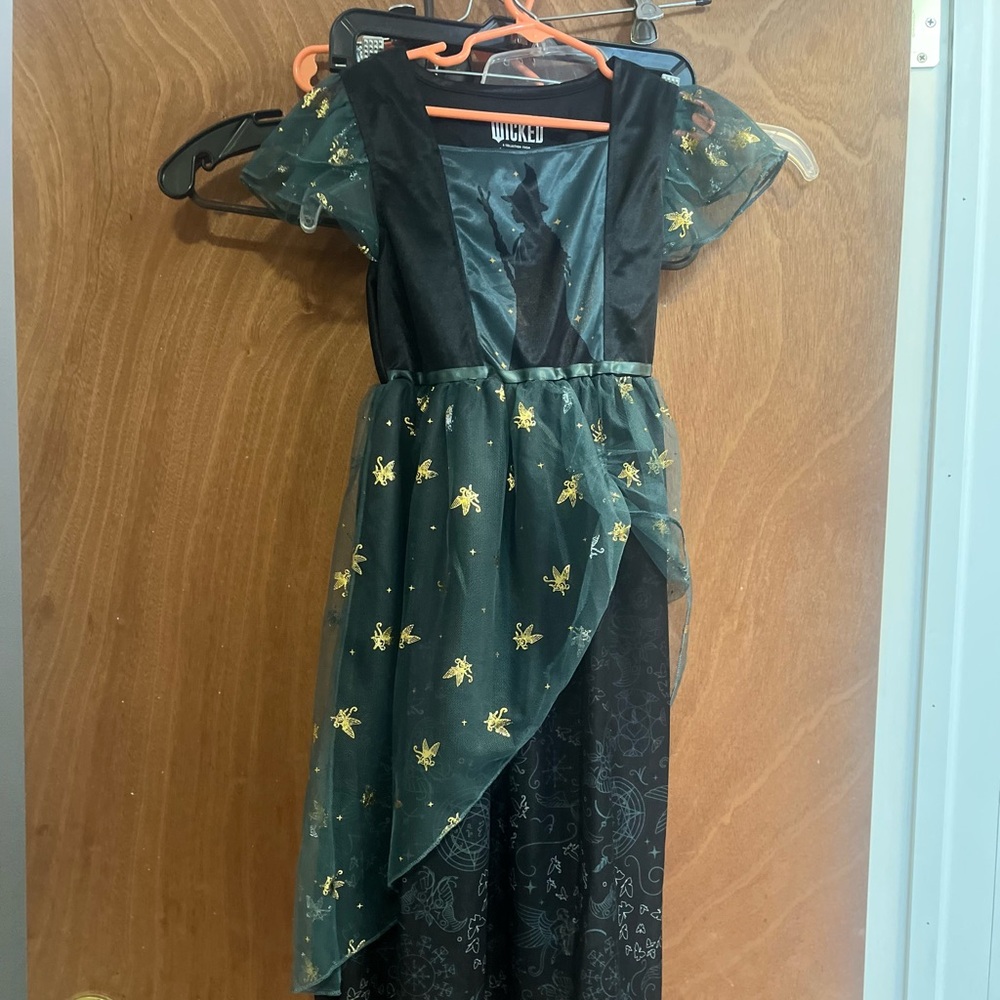 New without tags Girl size 2T Wicked Dress